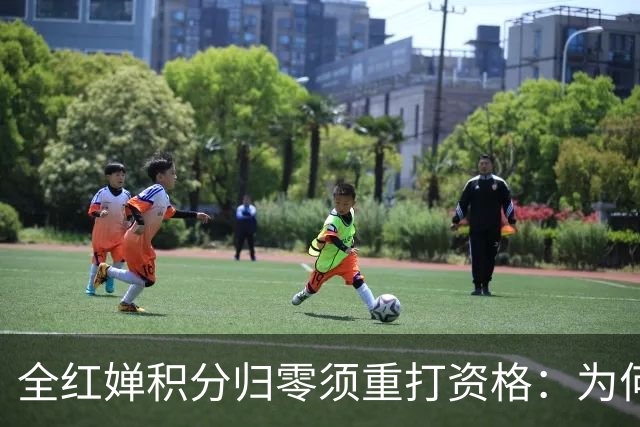全红婵积分归零须重打资格：为何连22金的陈芋汐都无法直通？